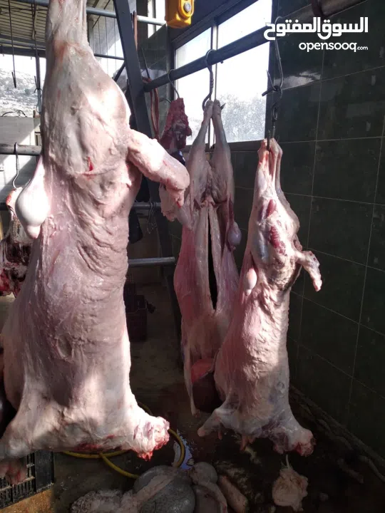 ملحمة ومسلخ خاص وأرض "مرزعة" للبيع