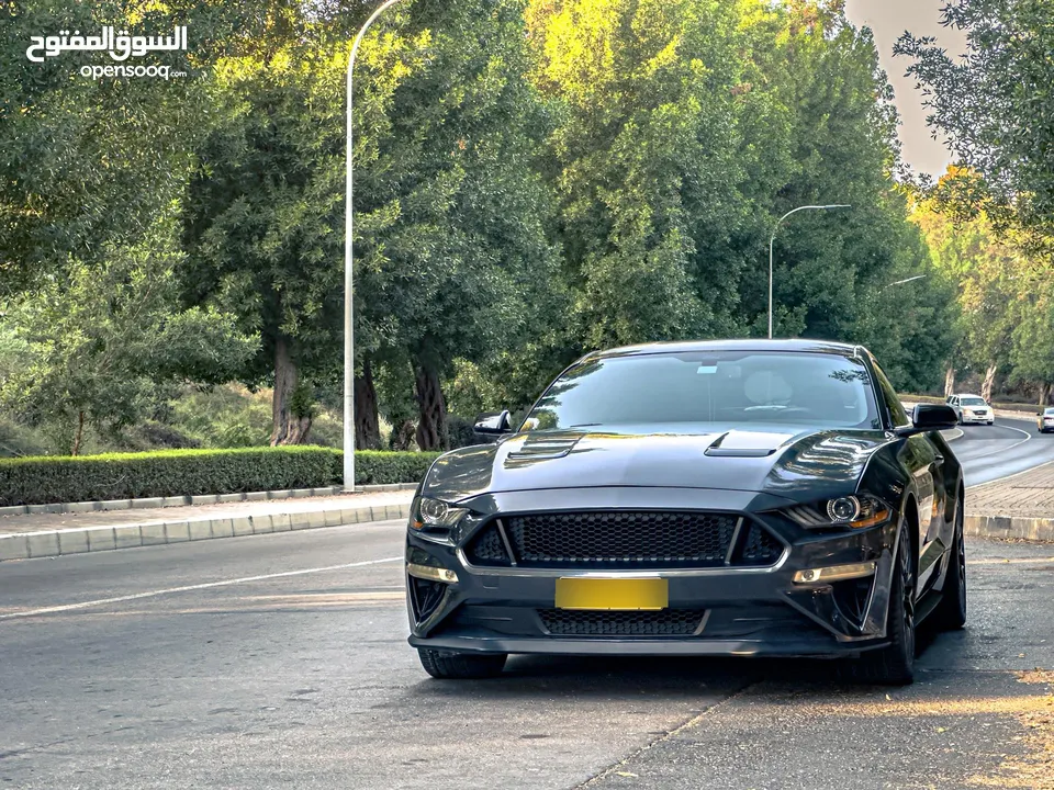 Ford Mustang GT 2019