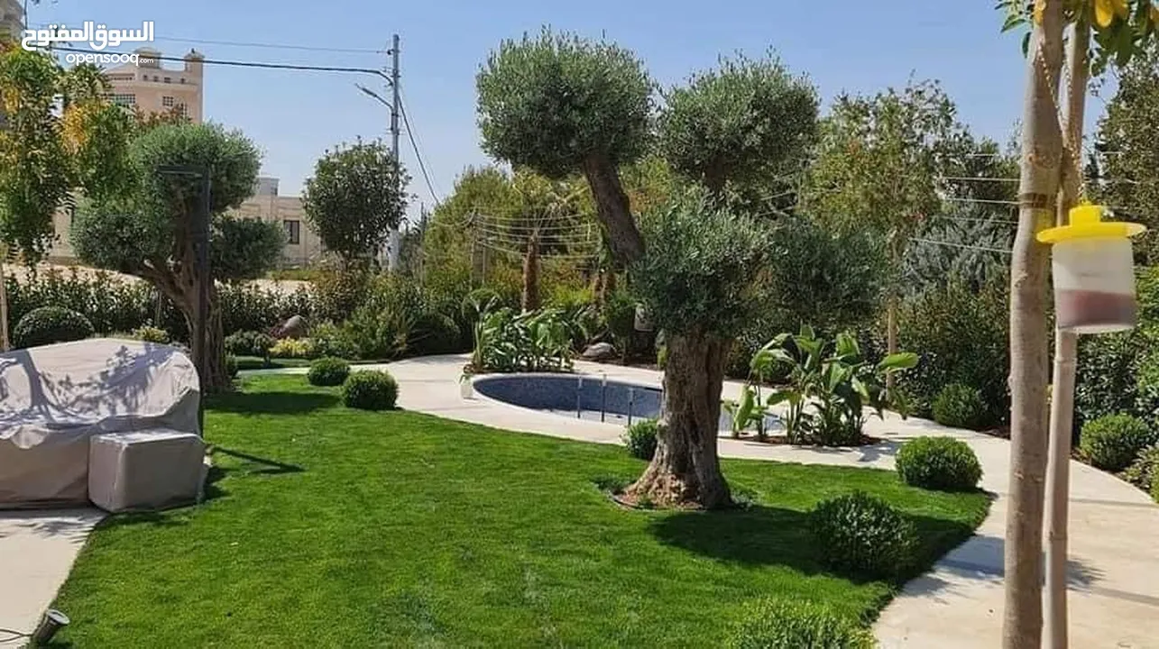 نجيل طبيعي للحدائق M5 - صنف وعرض مميز
