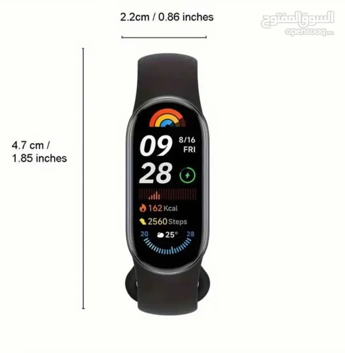 Xiaomi Smart Band 9