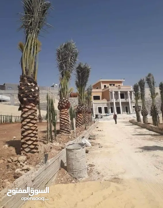 موسسة جينار لتشيك المزارع وبناء السناسل والاسوار واستصلاح الاراضي أدارة المزارع