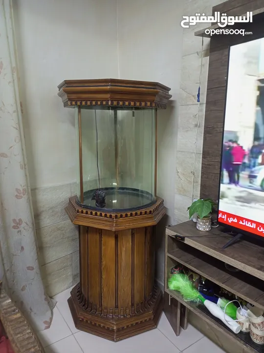 حوض سمك للبيع حجم كبير   160 سم