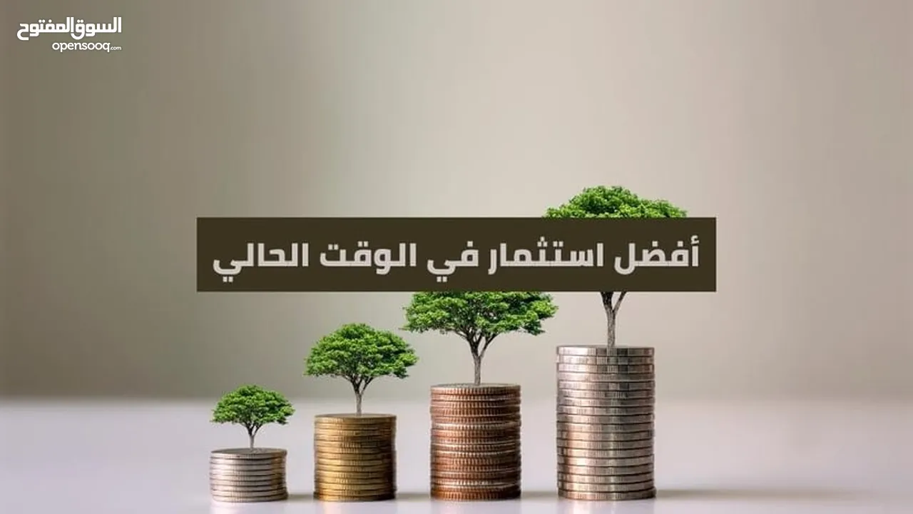 استثمار مبلغ ب فائدة 50 ٪