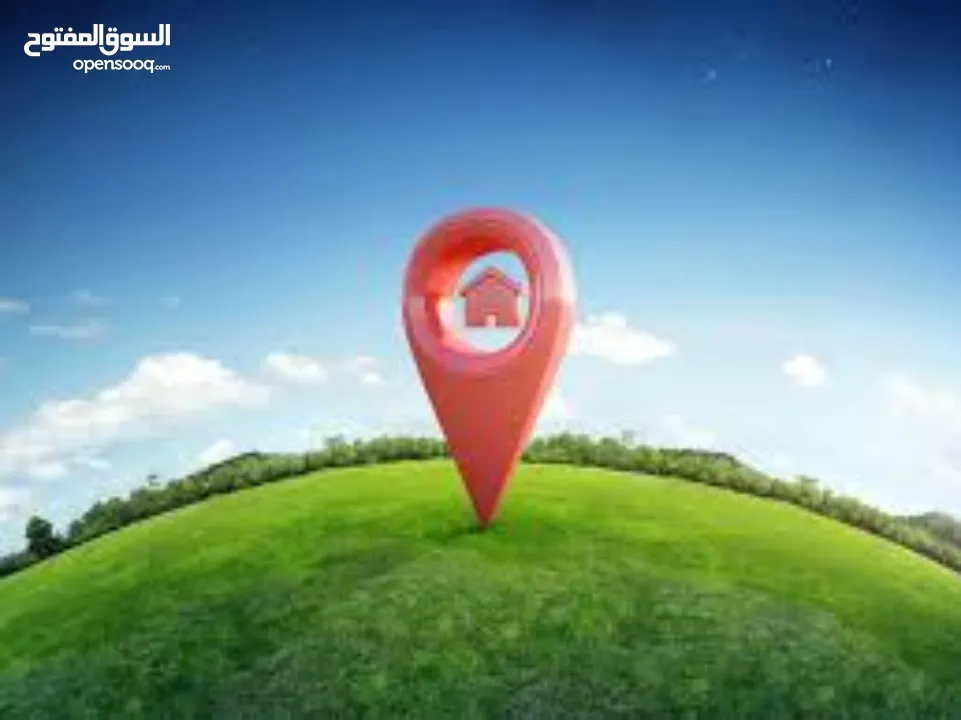 أرض للبيع في نابلس / عصيرة الشمالية حوض واد الصياد مزروعة زيتون متوفر كافة الخدمات اطلالة رائعة