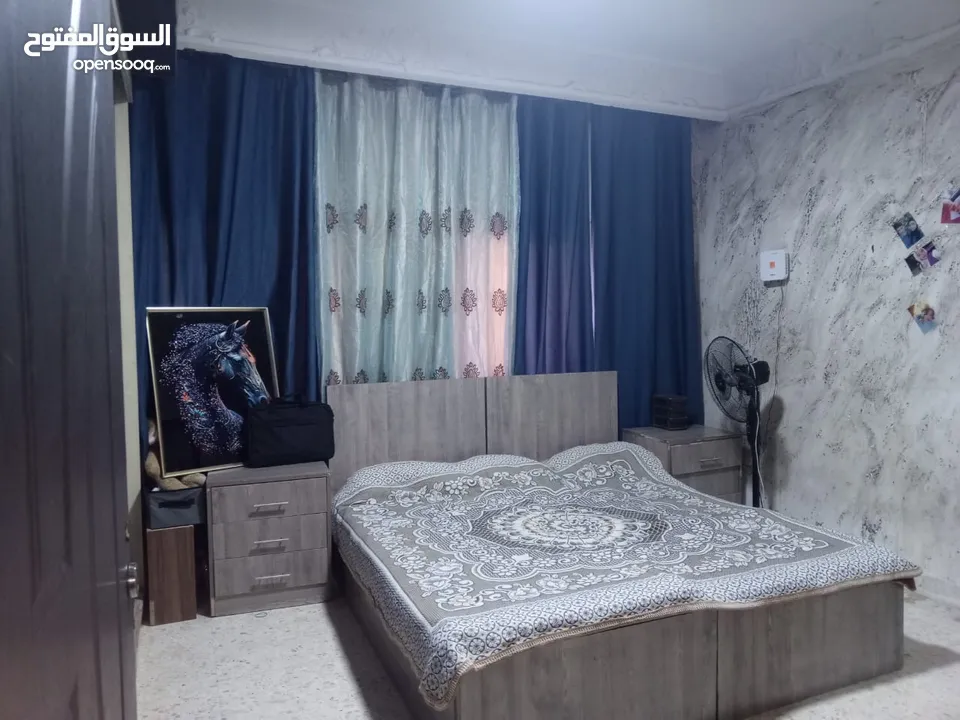 شَقًهّ لُلُبُيّعّ
