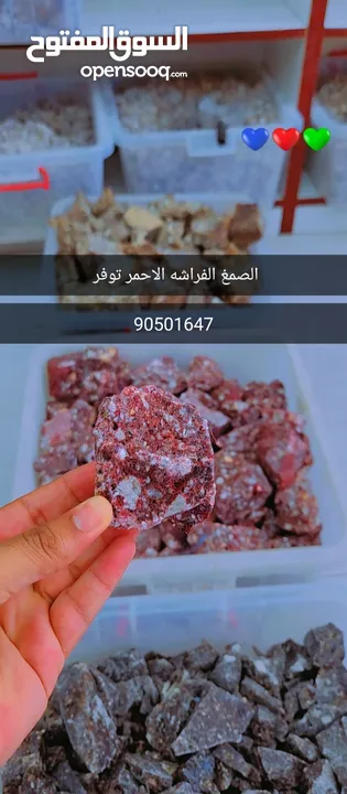 جميع انواع الصمغ الفراشه الأصلي