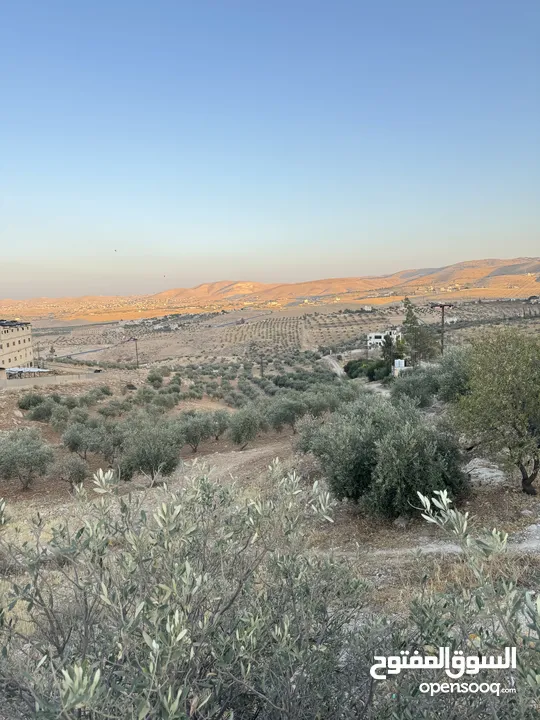 ارض مرتفعه للبيع