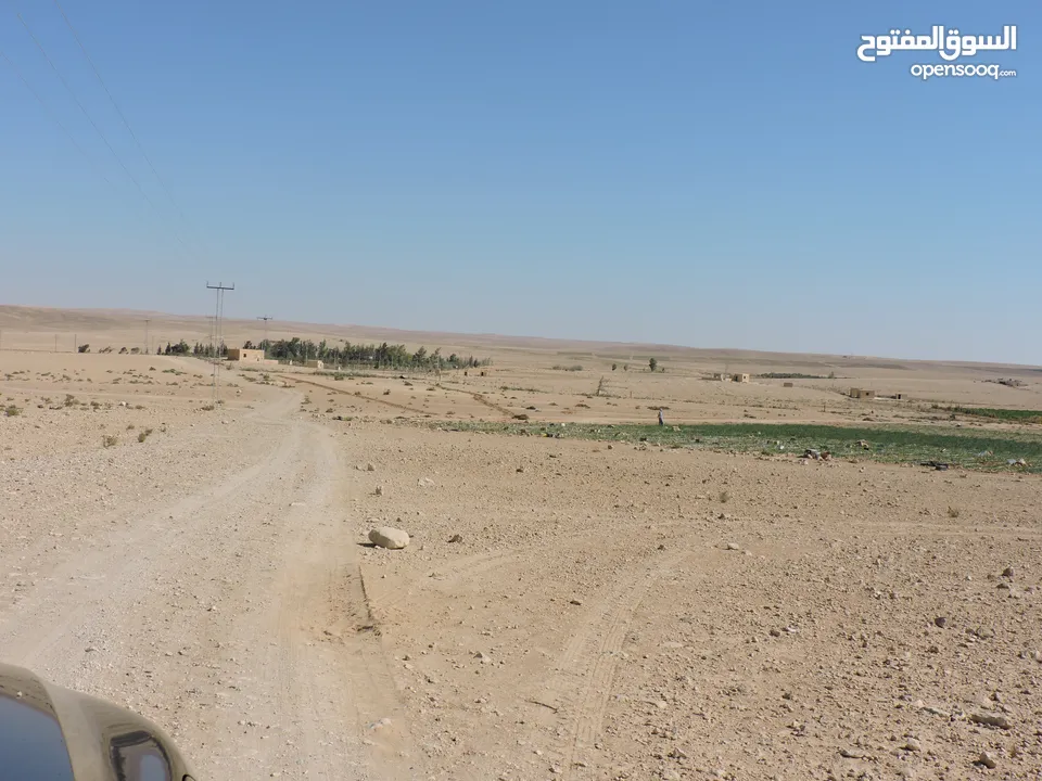 عدة قطع أراضي في مناطق الرجيلة زراعية وبجانب البير