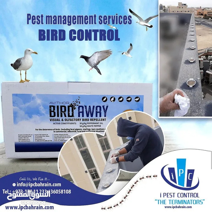 Best Offer - Pest Control Service - i Pest Control Bahrain