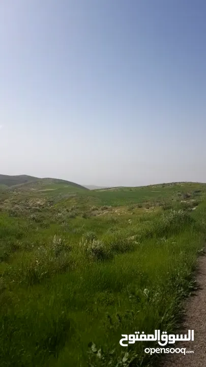 مادبا ماعين قطعة أرض زراعية مميزة مطلة على البحر الميت والضفة الغربية بمساحة 21 دونم