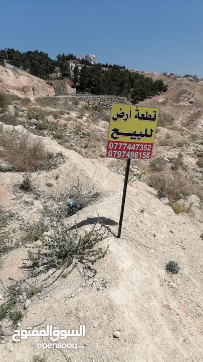 قطعه سكنيه للبيع مميزه إطلالة جماليه جدآ على عين الباشا والبقعه
