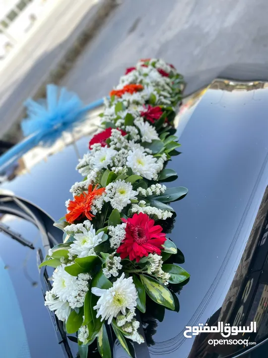 سيارات للاجار