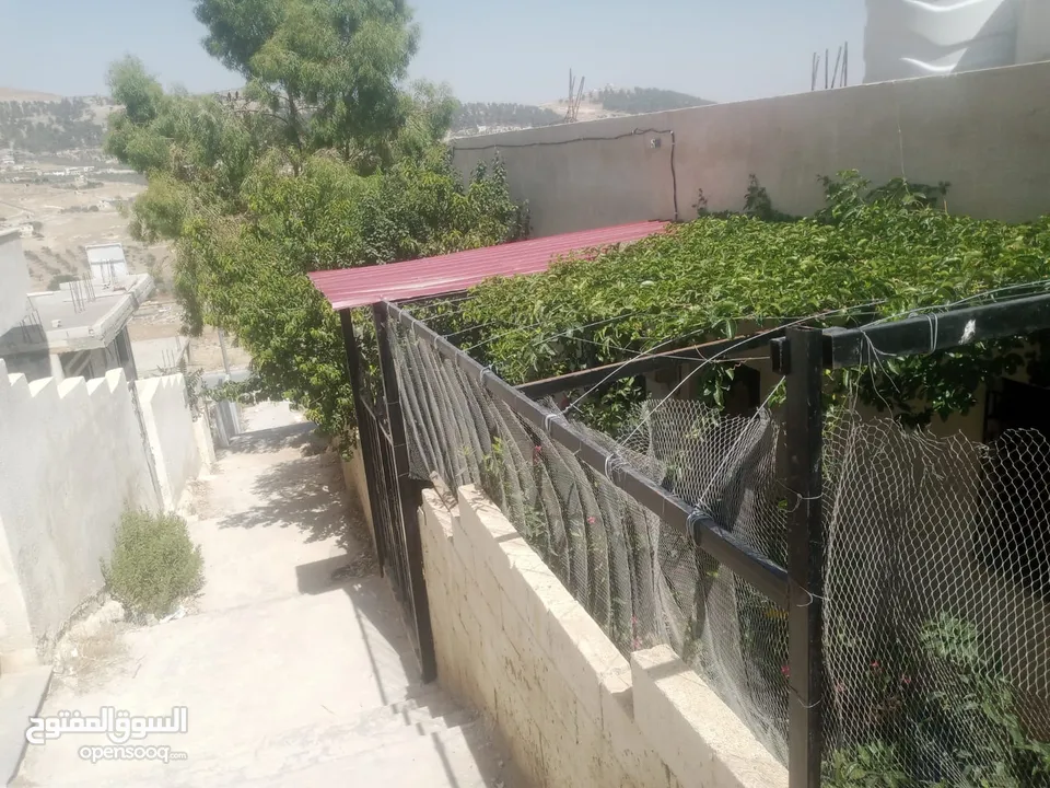 منزل مستقل جرش اسكان عجرمه  3غرف نوم 2حمام  صاله مع مطبخ امريكي  بلكونه  حديقه مساحه الارض 305