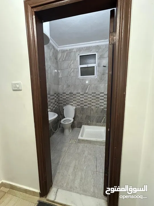 شقة مفروشة للايجار شارع الجامعة اربد