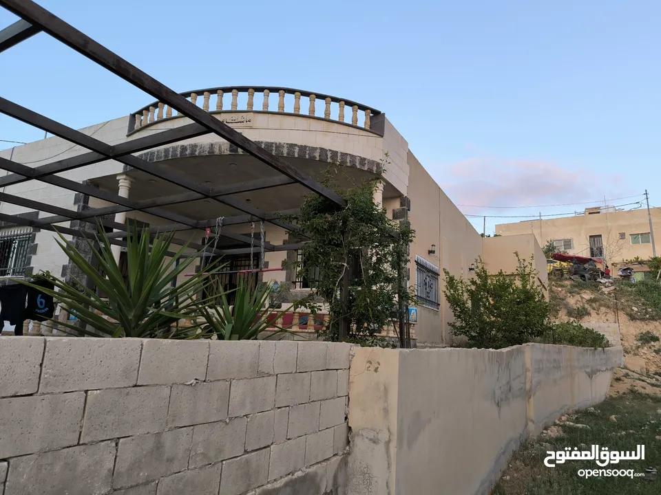 لقطة منزلين للبيع   على  ارض 2 دنم في قرية ابو نصير