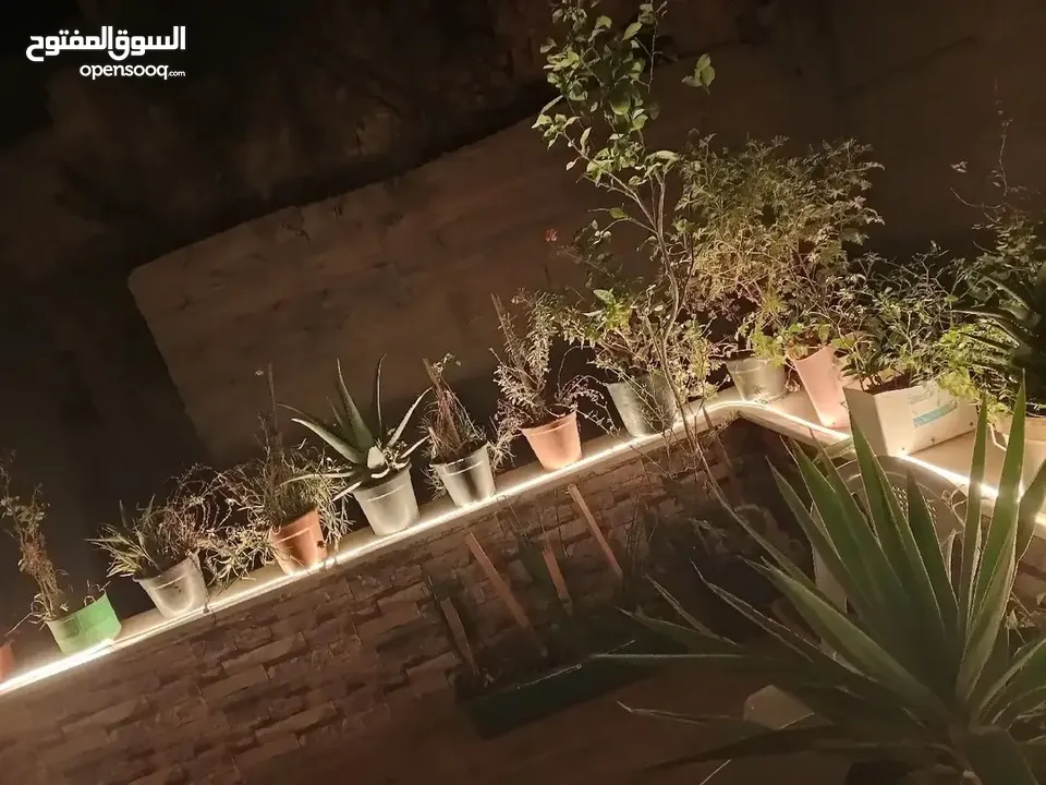 شقه منزليه