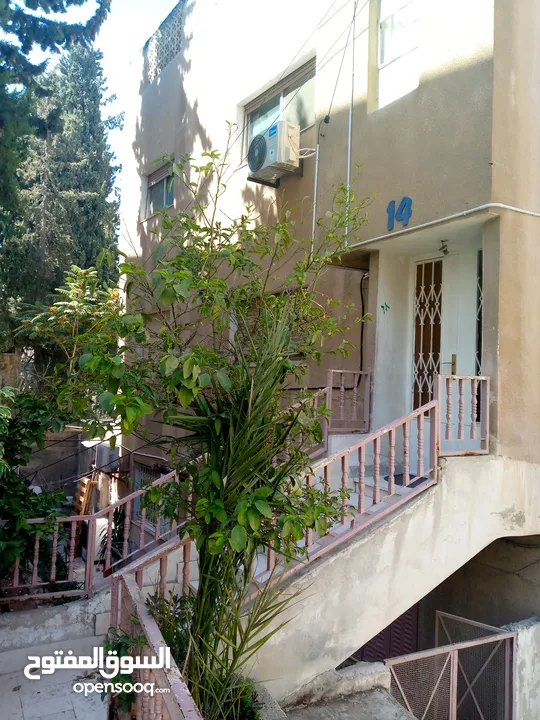 عمارة في جبل عمان للبيع