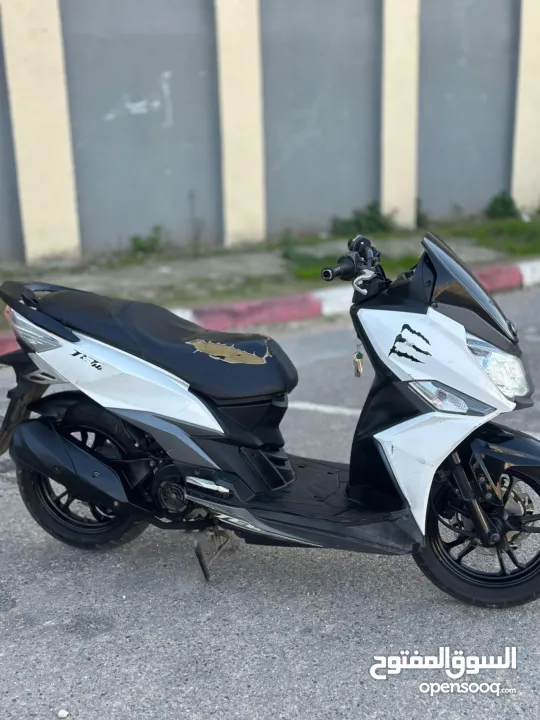 جيت 14 قنوني ضفة ملف شركة