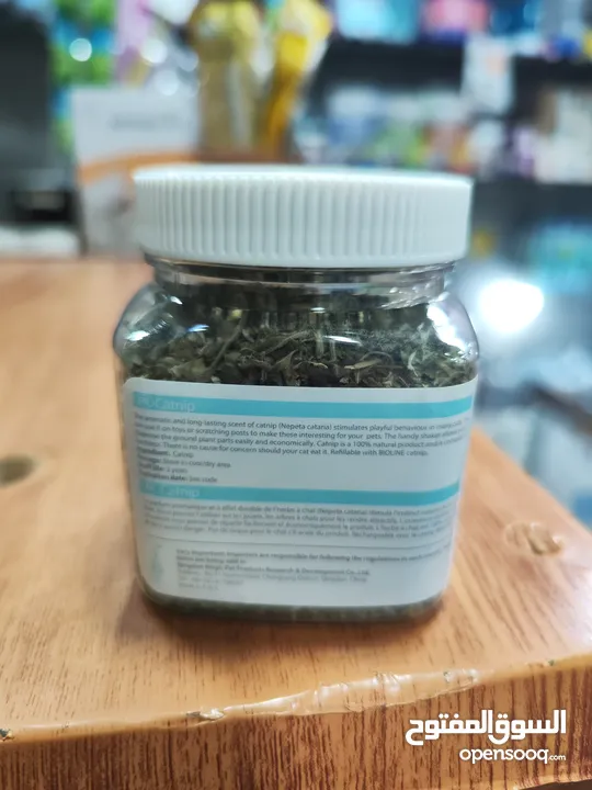 يا صاحبي! يبدو أن قطتك في طريقها لقضاء وقت ممتع! هل سبق لك أن جربت زراعة النعناع البري الخاص بك؟