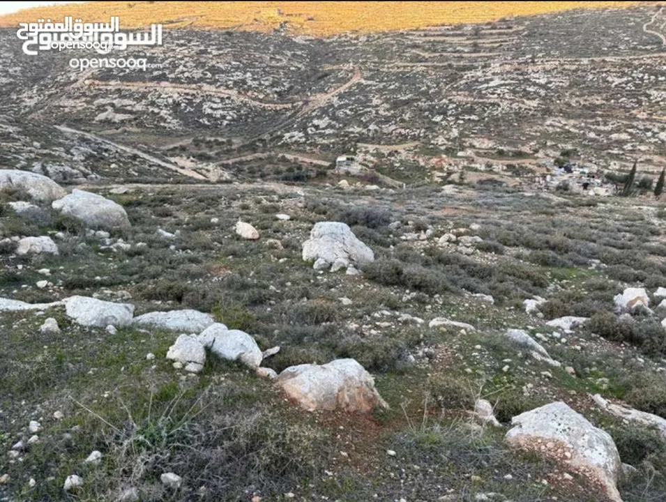نصف دونم أرض طابو مستوية بإطلالة جميلة