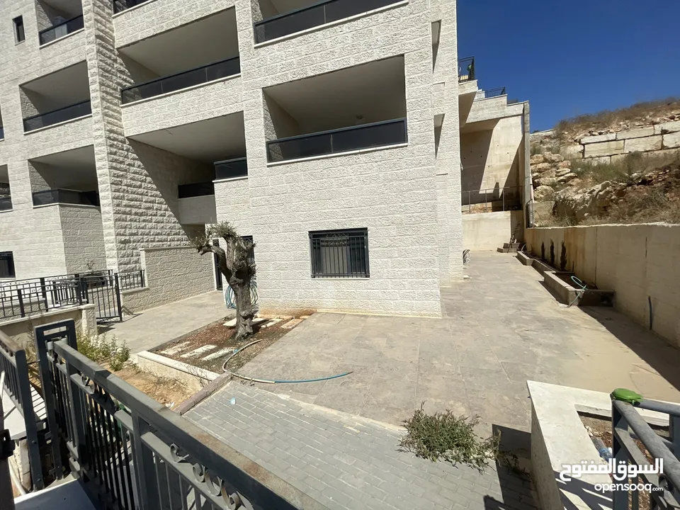 مرح صافي بال فايندر
