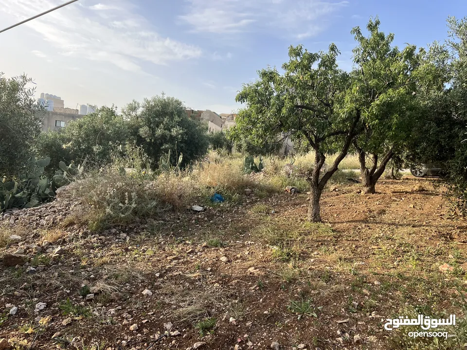 ارض مساحتها 505 م للبيع في حسبان حي البرج قرب كلية القياده والاركان