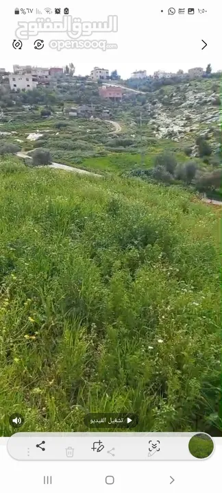 ارض للبيع  مساحة 620 متر مربع
