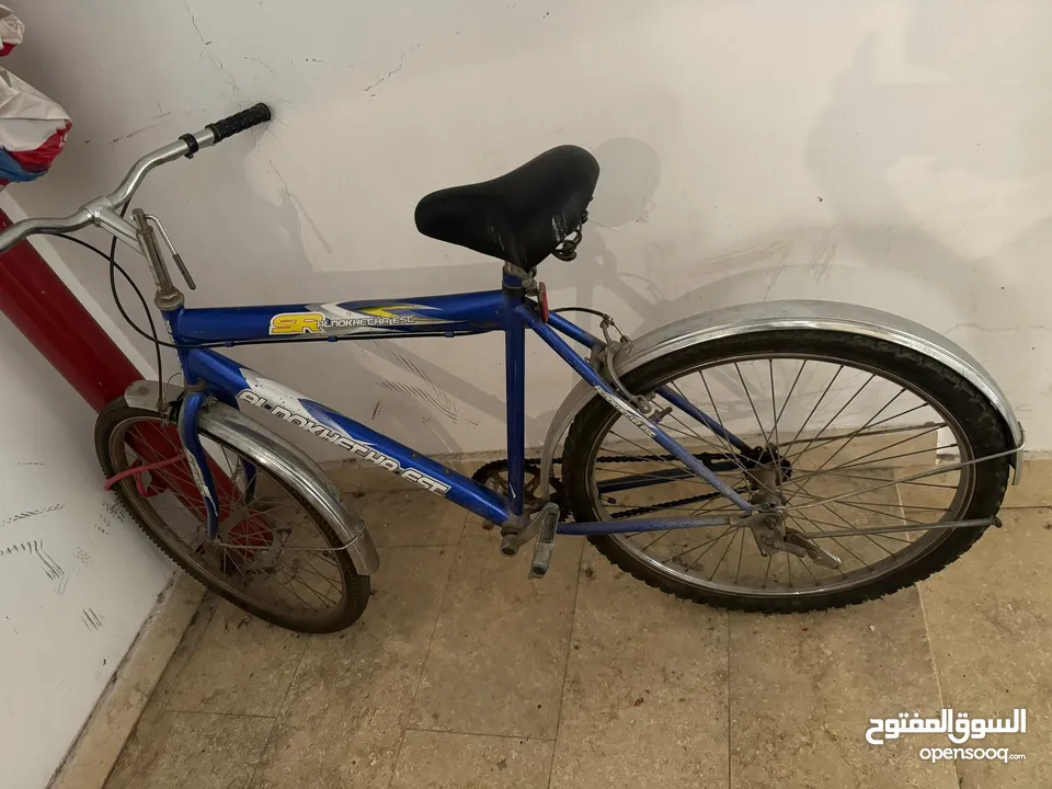 Adult Bicycle For sale