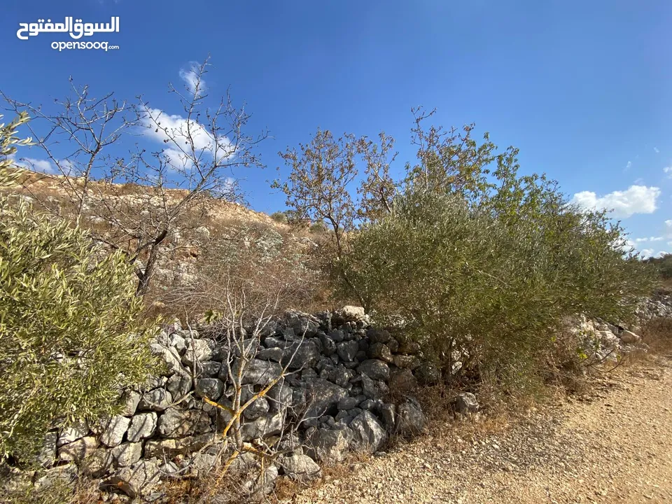 قطعة ارض للبيع  كوشان نظيف  تنازل مباشر تصنيف A منطقة جبل الشيخ عيسى  اطلاله غربيه