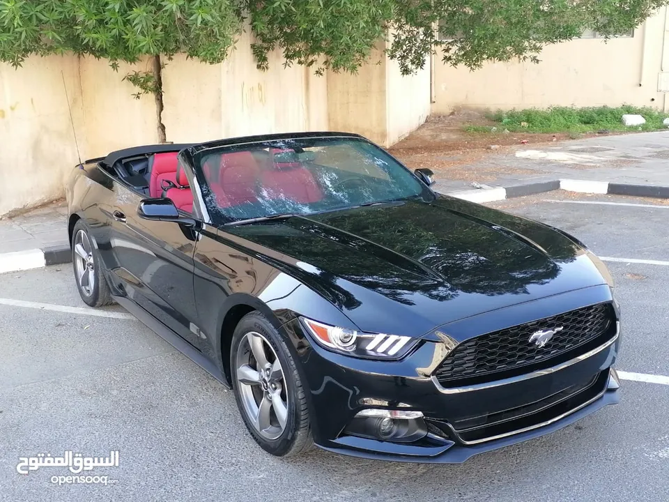 فورد موستنج ستة سلندر 2017 كشف Ford Mustang V6 Convertible