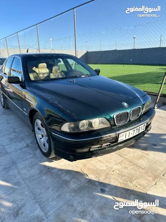 Bmw520 الدب