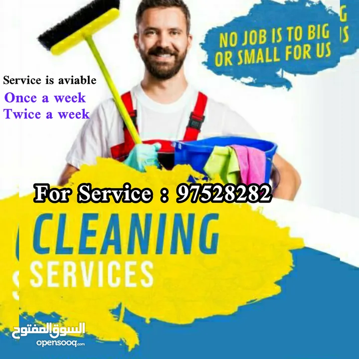 House Office Flat Garden Cleaning Maintenance Rubbish Disposal Water Tank Cleaning Service