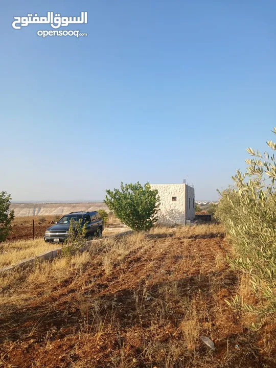 مزرعه أربعه دونم مشيكه بالكامل ارض زراعيه وبيت ريفي غرفتين وحمام ومطبخ صغير وباربكيو وساحه واسعه