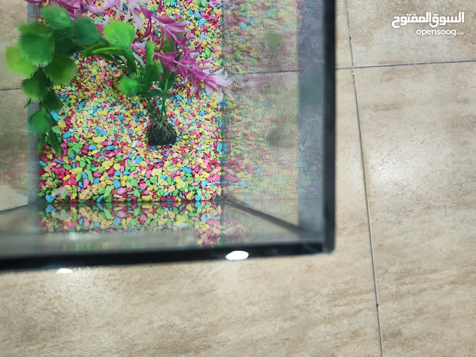 حوض سمك مجهز عبي مي و حط سمكاتك ، الطول 32 سم ارتفاع 23 سم عمق 21 سم