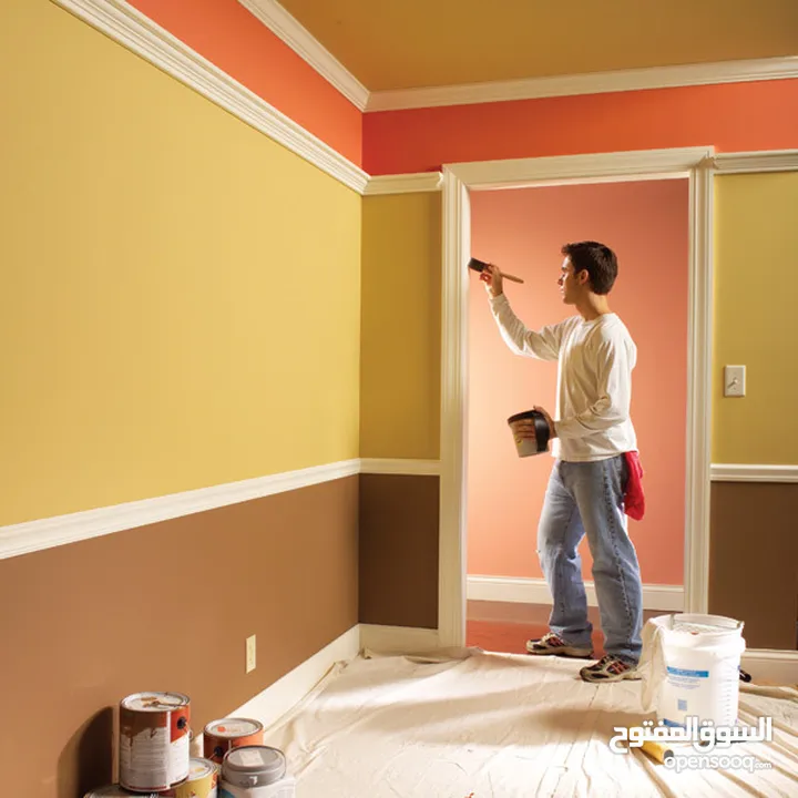 House & Room & Office Paints Sarvice