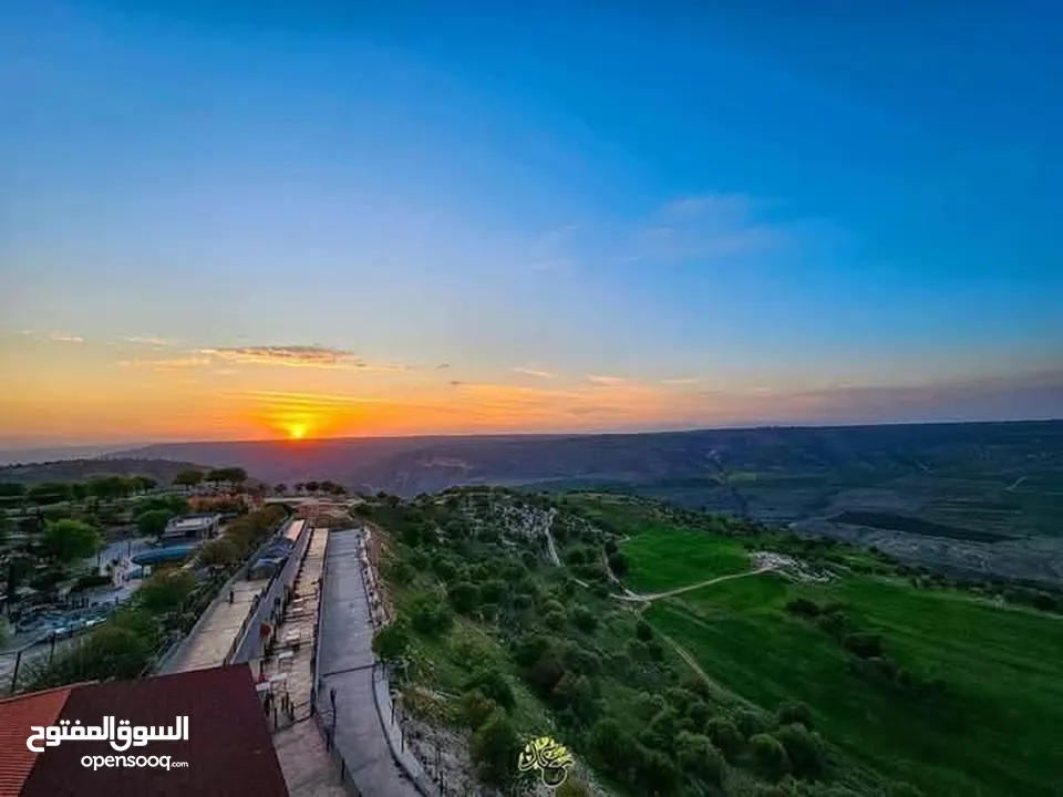 باصات حديثه للتوصيل 10 مقاعد مع السائق فقط توصيل لجميع انحاء المملكة  مطار الملكه علياء الجسر الملك
