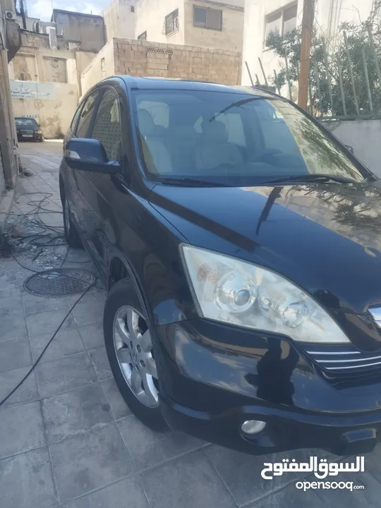 هوندا cr-v