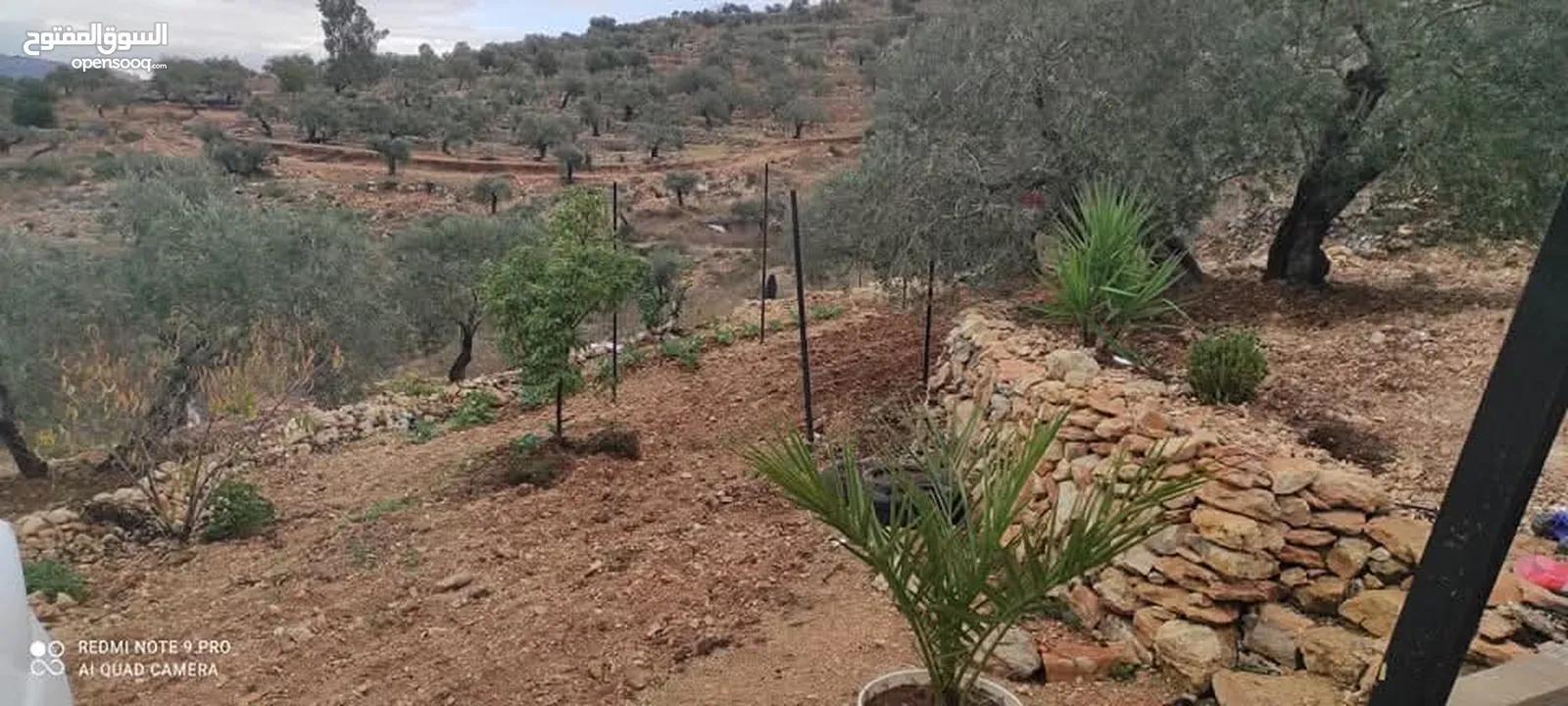 ارض طابو منطقة أ