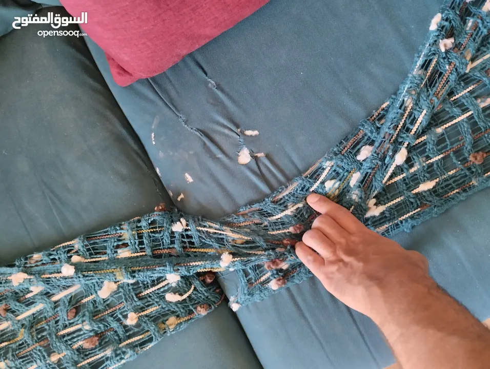كنب الدب متوسط الحال للبيع