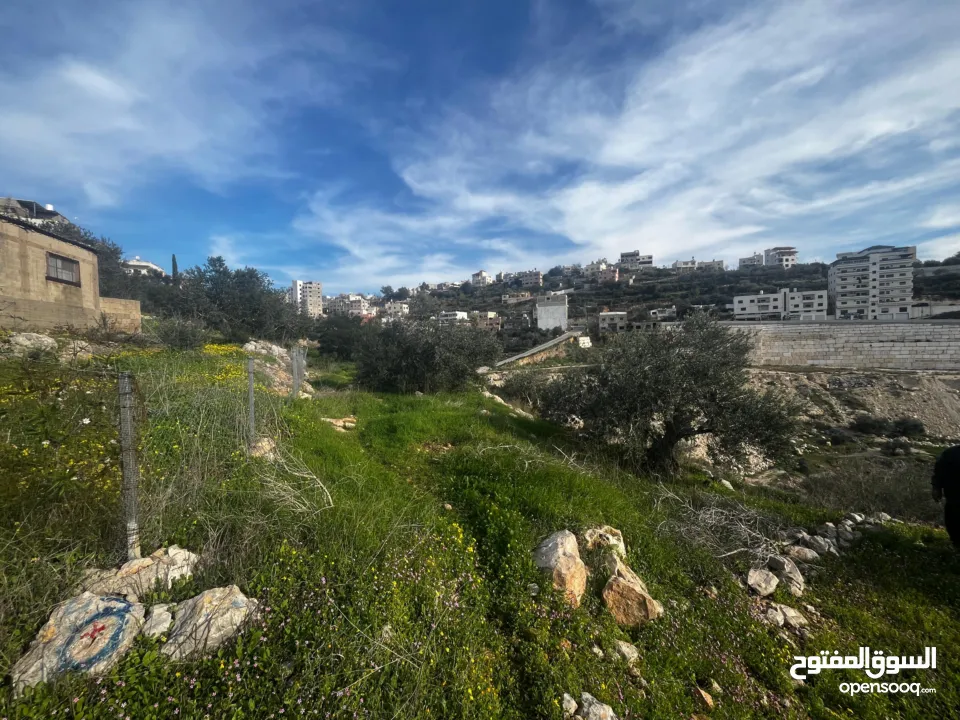 أرض للبيع بإطلالة غربية واصل جميع الخدمات