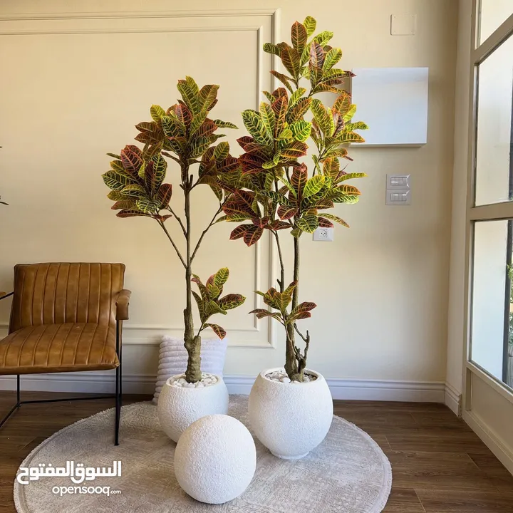 اجمل واحدث القواوبر