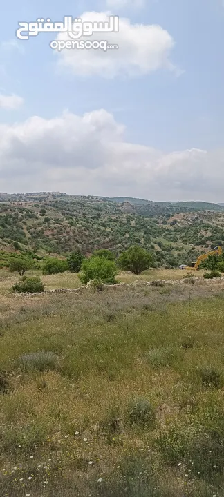 مزرعه  صغريه راقيه على قمه جبل مطله للغرب كوشان مستقل بسعر مميز جدا منطقه مزراع راقيه