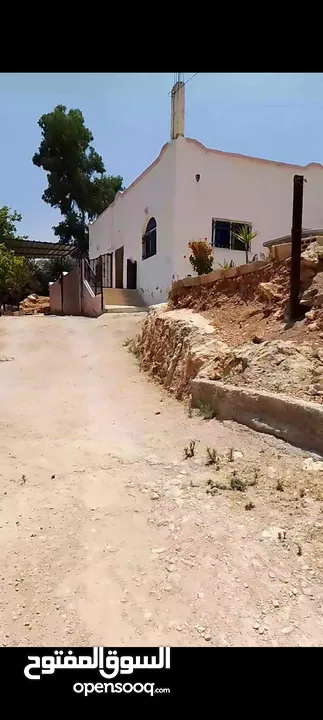 بيت مستقل للبيع