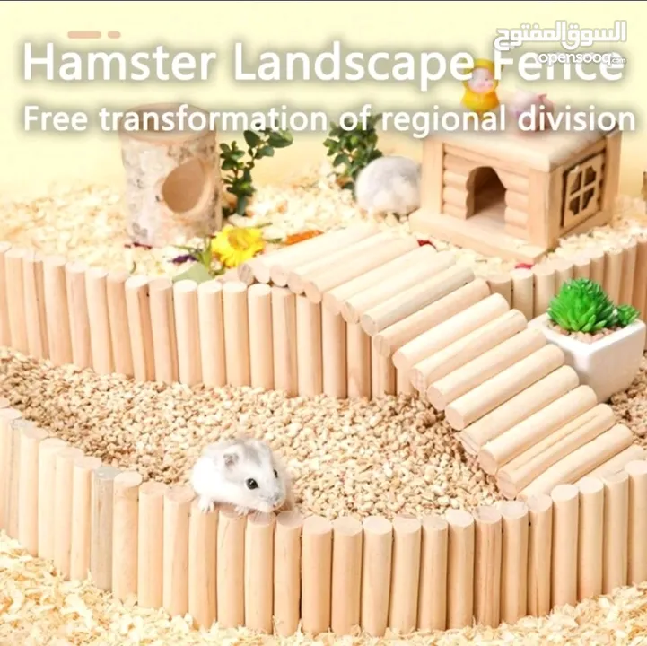 هامستر للبيع