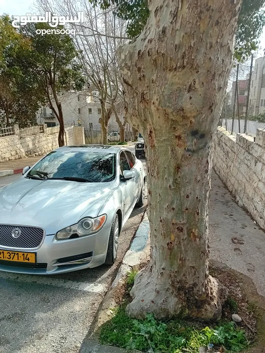 جاكوار 2009