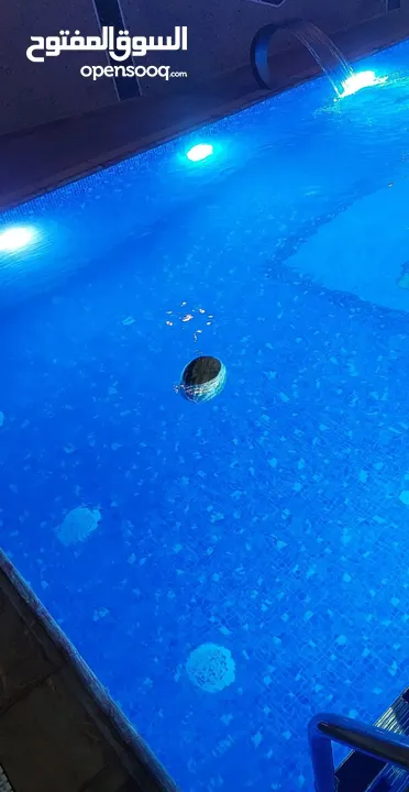 فيلا لليجار اليومي اريحا قصر هشام