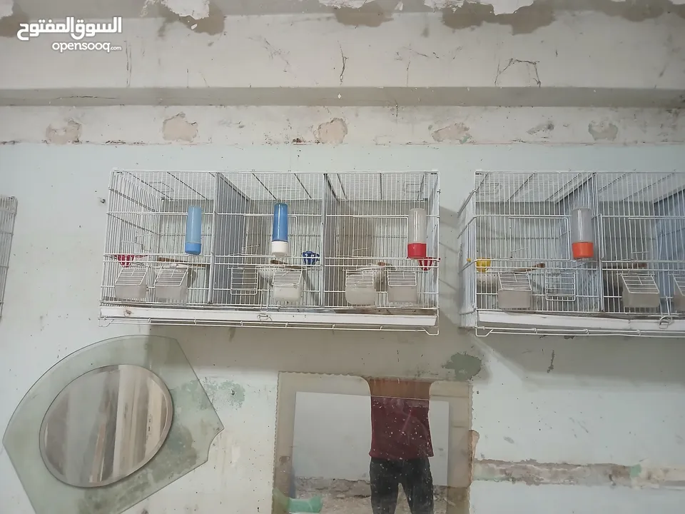 مطاير للبيع