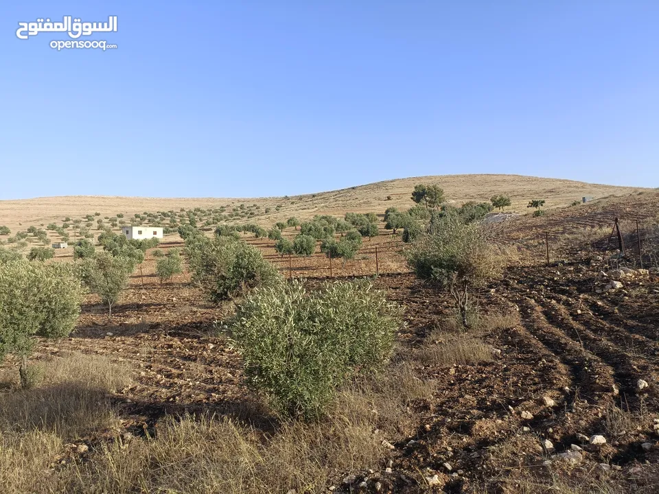 مزرعة وبيت