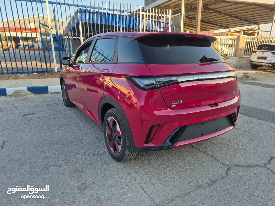 عرض حصري و مغري حتى نفاذ الكميه byd دولفين 2024 عداد صفر