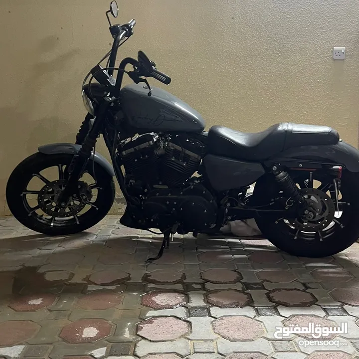 Iron 883 for sale asking